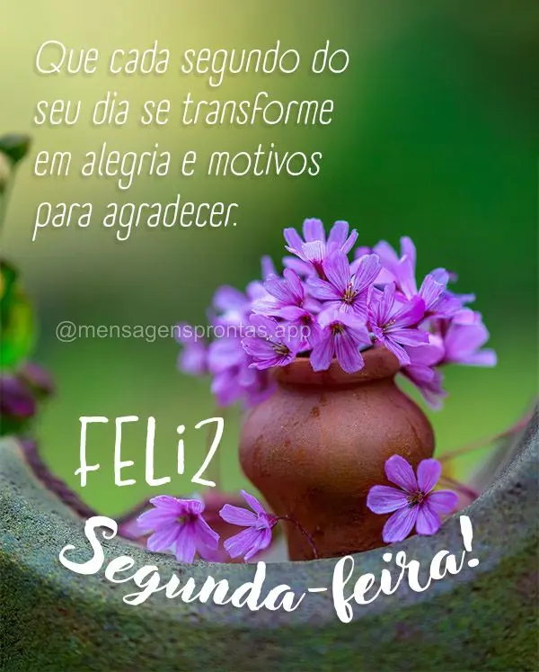Que cada segundo do seu dia se transforme em alegria e motivos para agradecer.  Feliz Segunda-feira!
