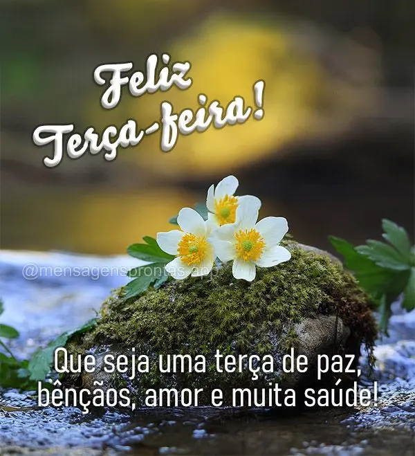 Que seja uma terça de paz, bênçãos, amor e muita saúde! Feliz Terça-feira!