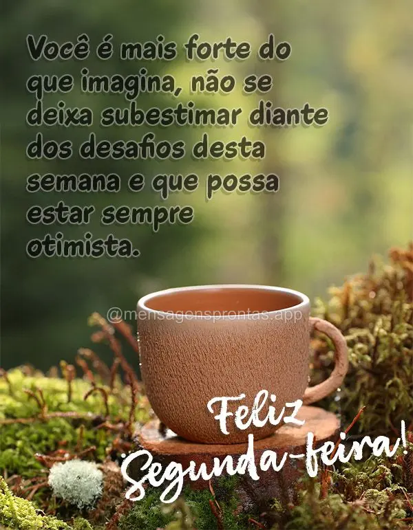 Você é mais forte do que imagina, não se deixa subestimar diante dos desafios desta semana e que possa estar sempre otimista. Feliz Segunda-feira!