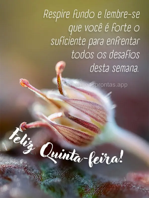 Respire fundo e lembre-se que você é forte o suficiente para enfrentar todos os desafios desta semana. Feliz Quinta-feira!