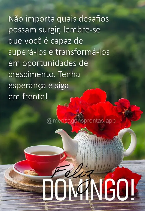 Não importa quais desafios possam surgir, lembre-se que você é capaz de superá-los e transformá-los em oportunidades de crescimento. Tenha esperanç...