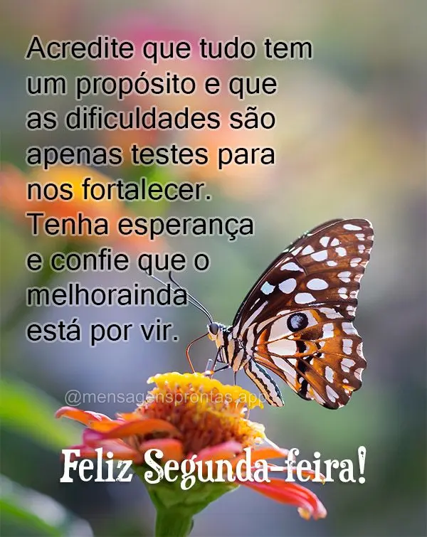 Acredite que tudo tem um propósito e que as dificuldades são apenas testes para nos fortalecer. Tenha esperança e confie que o melhor ainda está por ...