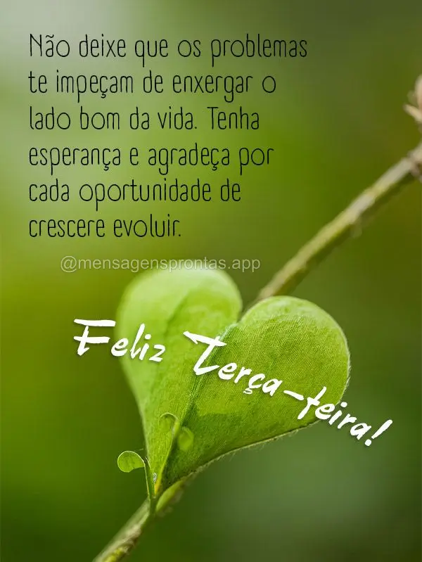 Não deixe que os problemas te impeçam de enxergar o lado bom da vida. Tenha esperança e agradeça por cada oportunidade de crescer e evoluir. Feliz Te...