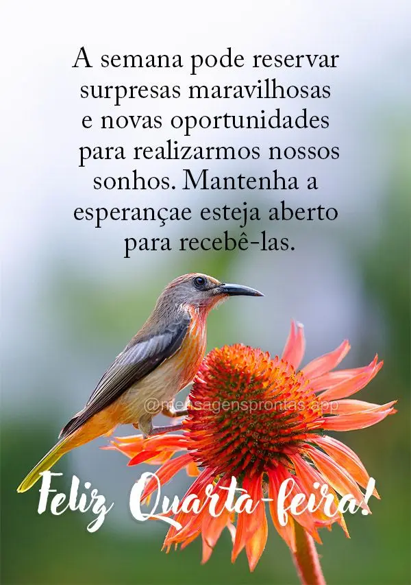 A semana pode reservar surpresas maravilhosas e novas oportunidades para realizarmos nossos sonhos. Mantenha a esperança e esteja aberto para recebê-la...