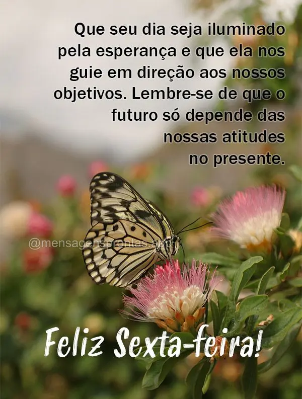 Que a seu dia seja iluminado pela esperança e que ela nos guie em direção aos nossos objetivos. Lembre-se de que o futuro só depende das nossas atitu...