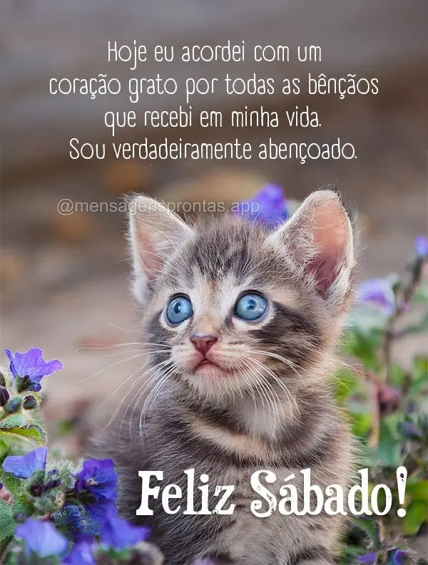 Hoje eu acordei com um coração grato por todas as bênçãos que recebi em minha vida. Sou verdadeiramente abençoado. Feliz Sábado!