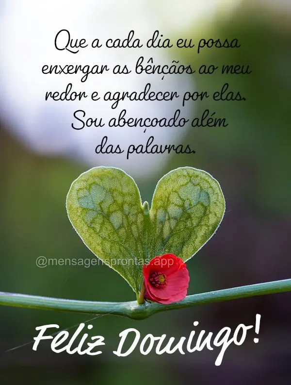 Que a cada dia eu possa enxergar as bênçãos ao meu redor e agradecer por elas. Sou abençoado além das palavras. Feliz Domingo!