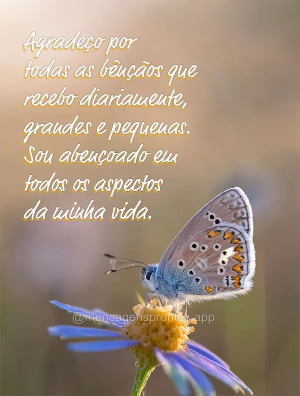 Agradeço por todas as bênçãos que recebo diariamente, grandes e pequenas. Sou abençoado em todos os aspectos da minha vida.