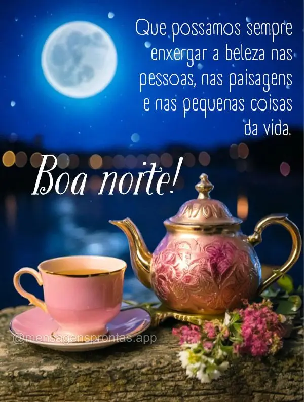 Que possamos sempre enxergar a beleza nas pessoas, nas paisagens e nas pequenas coisas da vida. Boa noite!