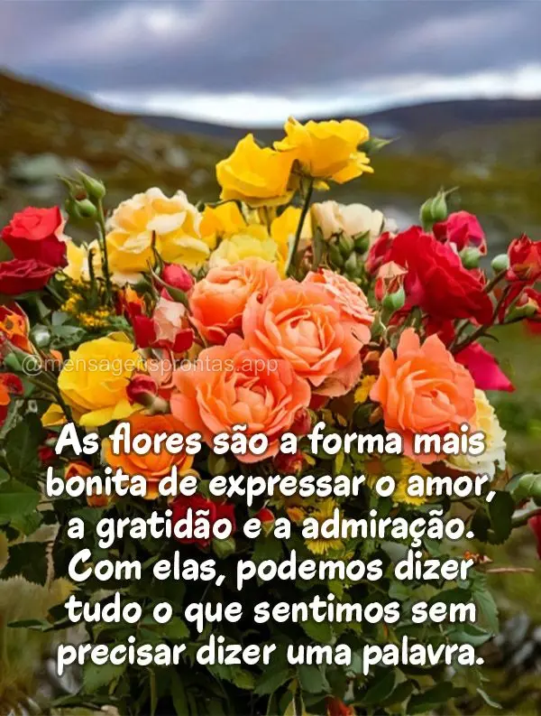 As flores são a forma mais bonita de expressar o amor, a gratidão e a admiração. Com elas, podemos dizer tudo o que sentimos sem precisar dizer uma p...