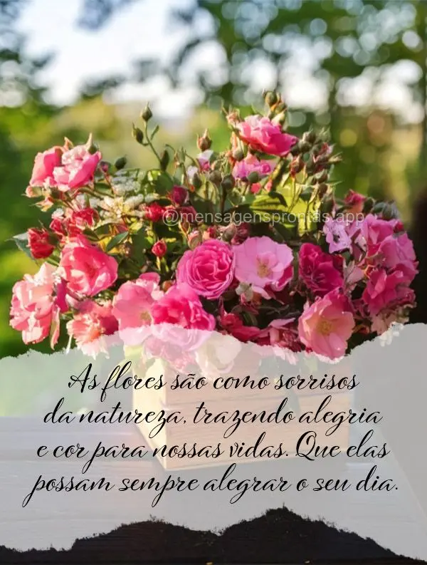 As flores são como sorrisos da natureza, trazendo alegria e cor para nossas vidas. Que elas possam sempre alegrar o seu dia.