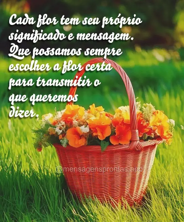 Cada flor tem seu próprio significado e mensagem. Que possamos sempre escolher a flor certa para transmitir o que queremos dizer.