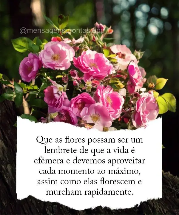 Que as flores possam ser um lembrete de que a vida é efêmera e devemos aproveitar cada momento ao máximo, assim como elas florescem e murcham rapidame...