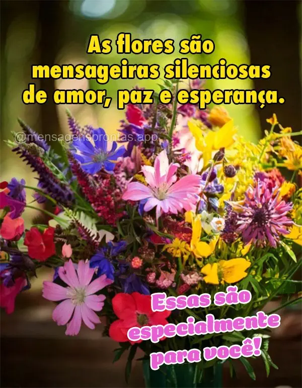 As flores são mensageiras silenciosas de amor, paz e esperança. Essas são especialmente para você!