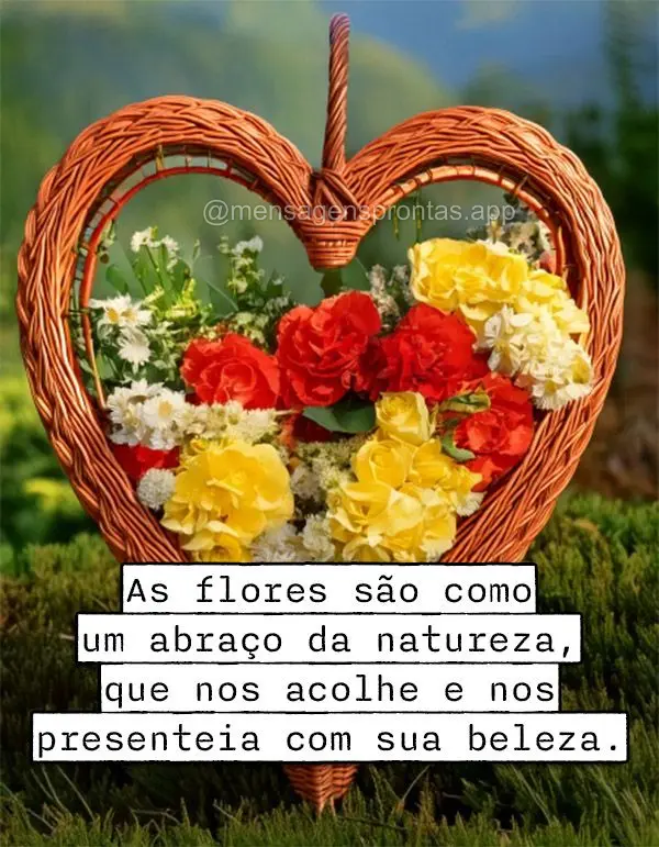 As flores são como um abraço da natureza, que nos acolhe e nos presenteia com sua beleza.	