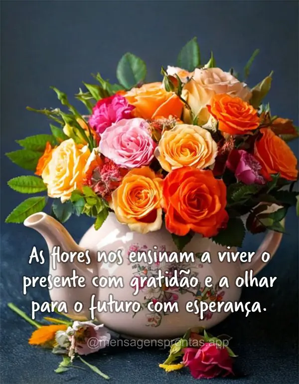 As flores nos ensinam a viver o presente com gratidão e a olhar para o futuro com esperança.