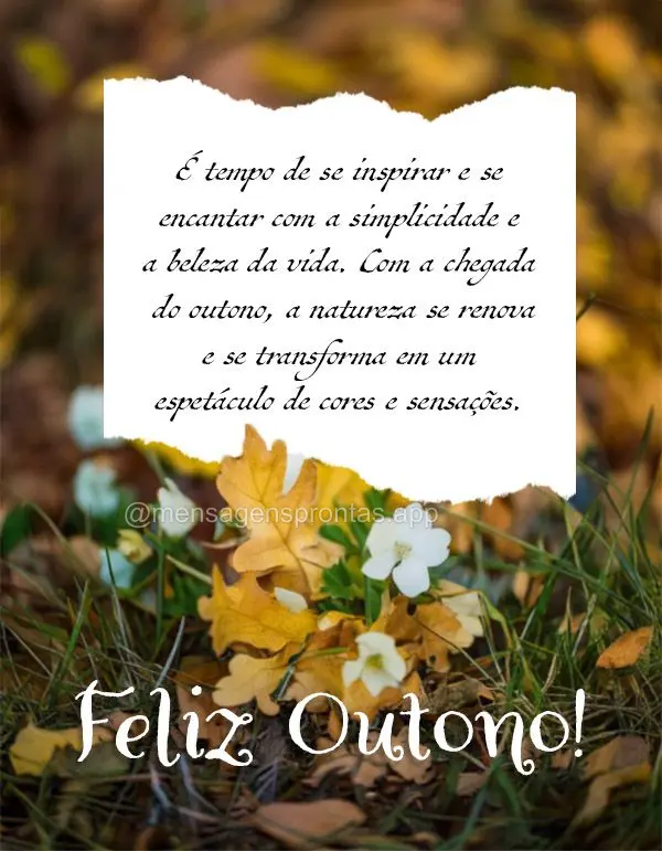 É tempo de se inspirar e se encantar com a simplicidade e a beleza da vida. Com a chegada do outono, a natureza se renova e se transforma em um espetác...