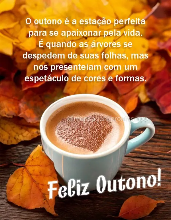 O outono é a estação perfeita para se apaixonar pela vida. É quando as árvores se despedem de suas folhas, mas nos presenteiam com um espetáculo de...