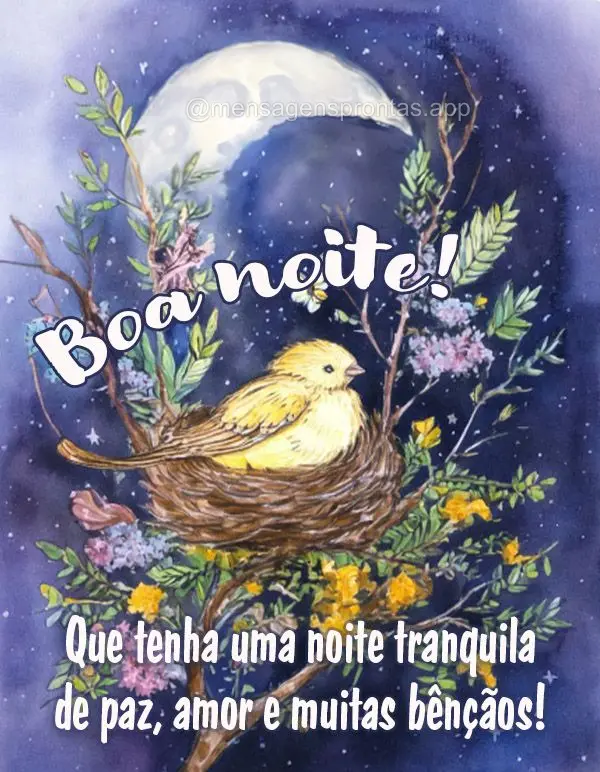 Que tenha uma noite tranquila de paz, amor e muitas bênçãos! Boa noite!