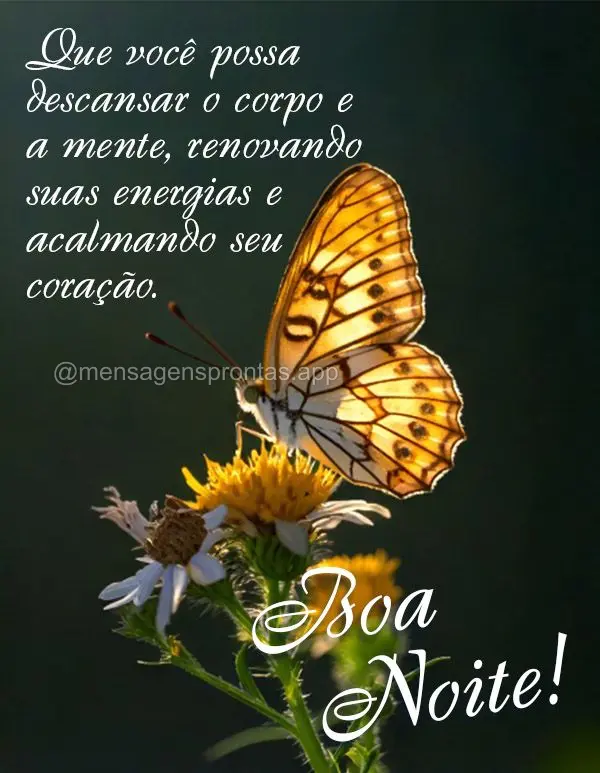 Que você possa descansar o corpo e a mente, renovando suas energias e acalmando seu coração. Boa noite!