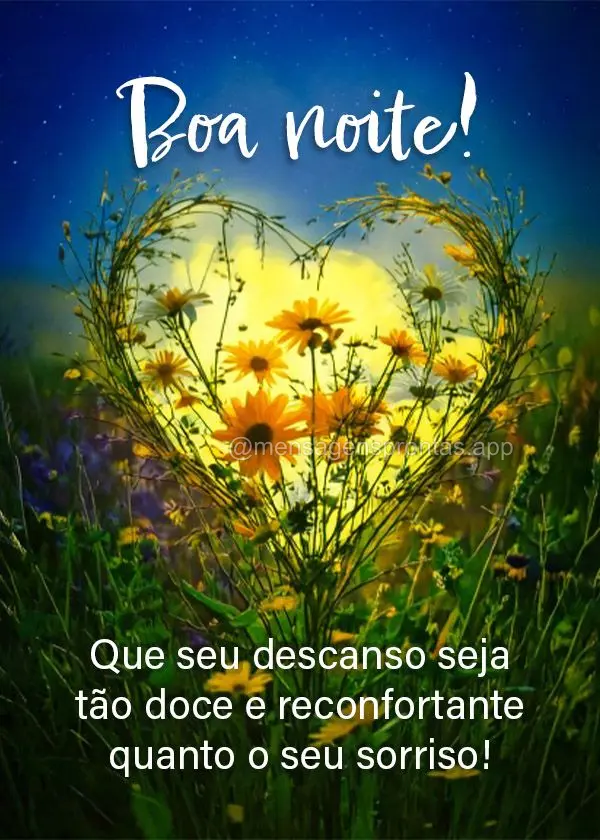 Que seu descanso seja tão doce e reconfortante quanto o seu sorriso! Boa noite!