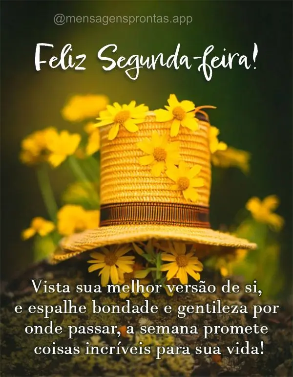 Vista sua melhor versão de si, e espalhe bondade e gentileza por onde passar, a semana promete coisas incríveis para sua vida! Feliz Segunda-feira!