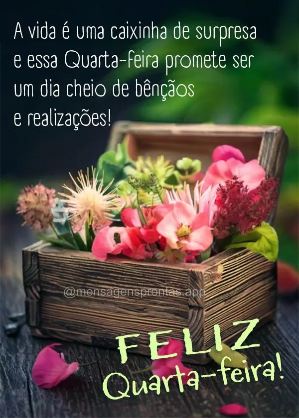 A vida é uma caixinha de surpresa e essa Quarta-feira promete ser um dia cheio de bênçãos e realizações!  Feliz Quarta-feira!