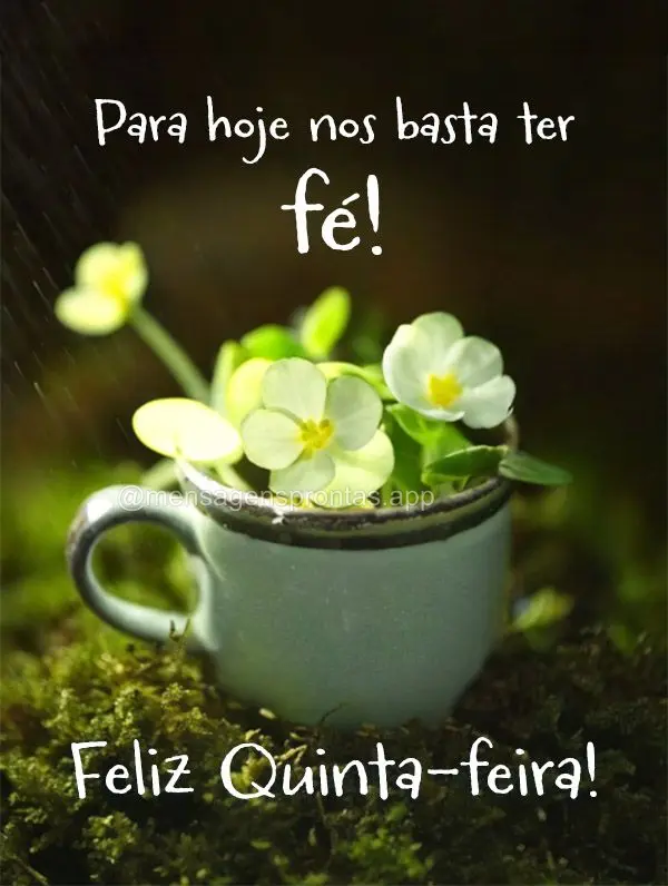 Para hoje nos basta ter fé! Feliz Quinta-feira!