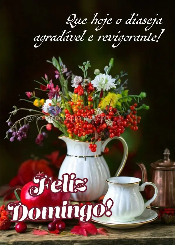 Que hoje o dia seja agradável e revigorante!  Feliz Domingo!