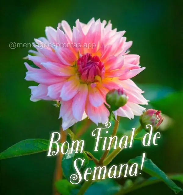 Bom Final de Semana!