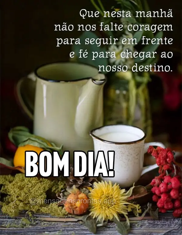Que nesta manhã não nos falte coragem para seguir em frente e fé para chegar ao nosso destino.  Bom dia! 