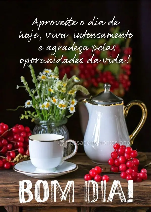 Aproveite o dia de hoje, viva intensamente e agradeça pelas oportunidades da vida! Bom dia!