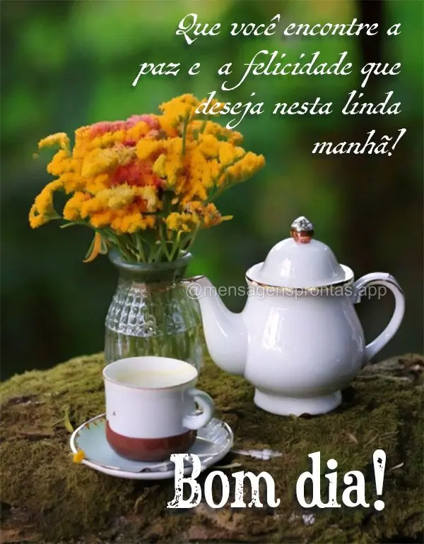Que você encontre a paz e a felicidade que deseja nesta linda manhã! Bom dia!