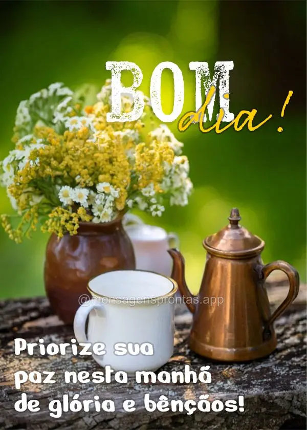 Priorize sua paz nesta manhã de glória e bênçãos! Bom dia!