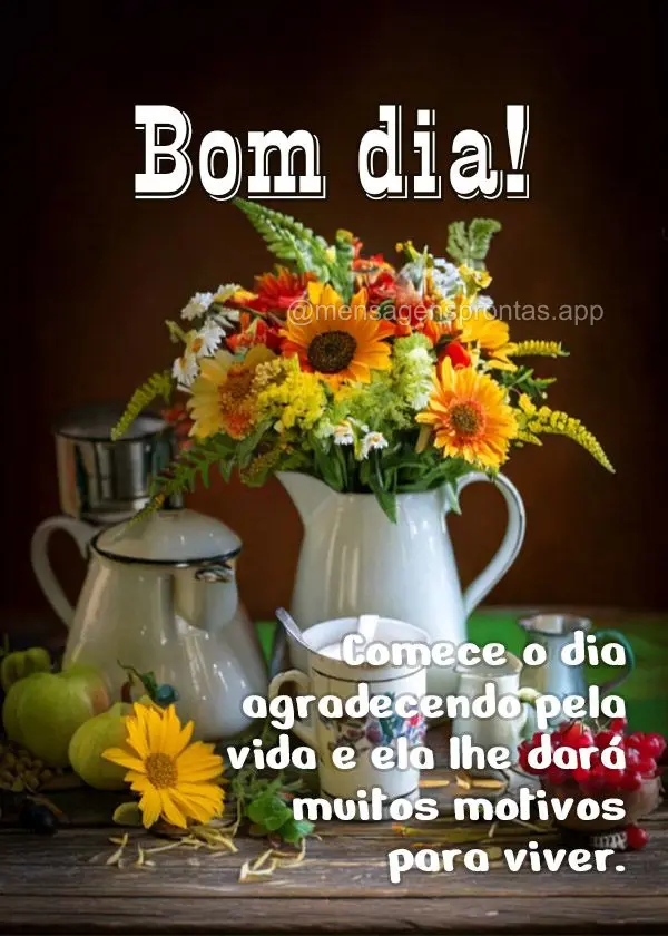 Comece o dia agradecendo pela vida e ela lhe dará muitos motivos para viver. Bom dia!