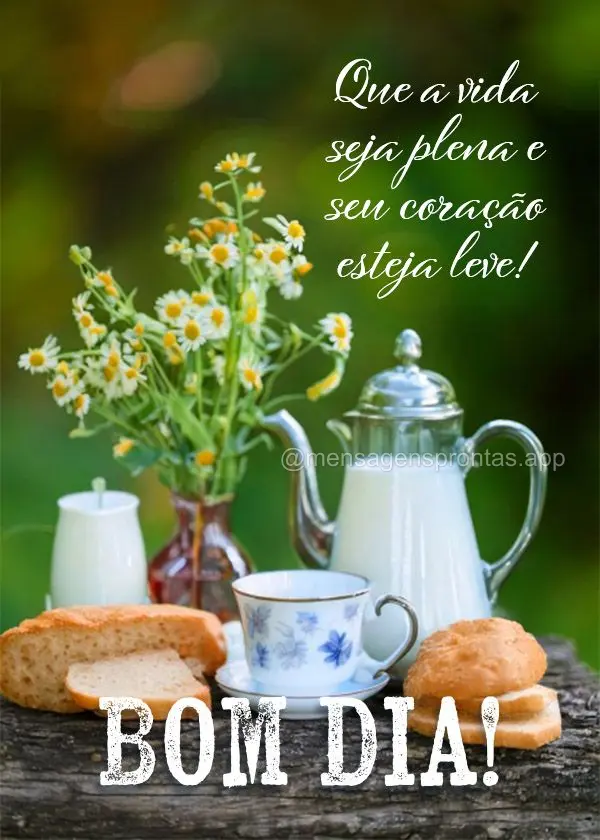 Que a vida seja plena e seu coração esteja leve! Bom dia!