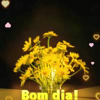 Acredite na força que vive dentro de você; ela é capaz de transformar os maiores desafios em grandes vitórias. Bom dia!