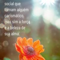 Não é a aparência física ou o status social que tornam alguém carismático, mas sim a força e a beleza de sua alma.  Feliz Segunda-feira!