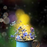 Um sorriso sincero, um olhar atencioso e palavras gentis são as melhores armas para conquistar corações e despertar o carisma que existe em cada um de...