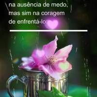 A força não está na ausência de medo, mas sim na coragem de enfrentá-lo. Feliz Quinta-feira!