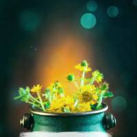 Tenha fé em si mesmo e nas suas escolhas. Acredite que tudo é possível e siga em frente com determinação. Feliz Domingo!