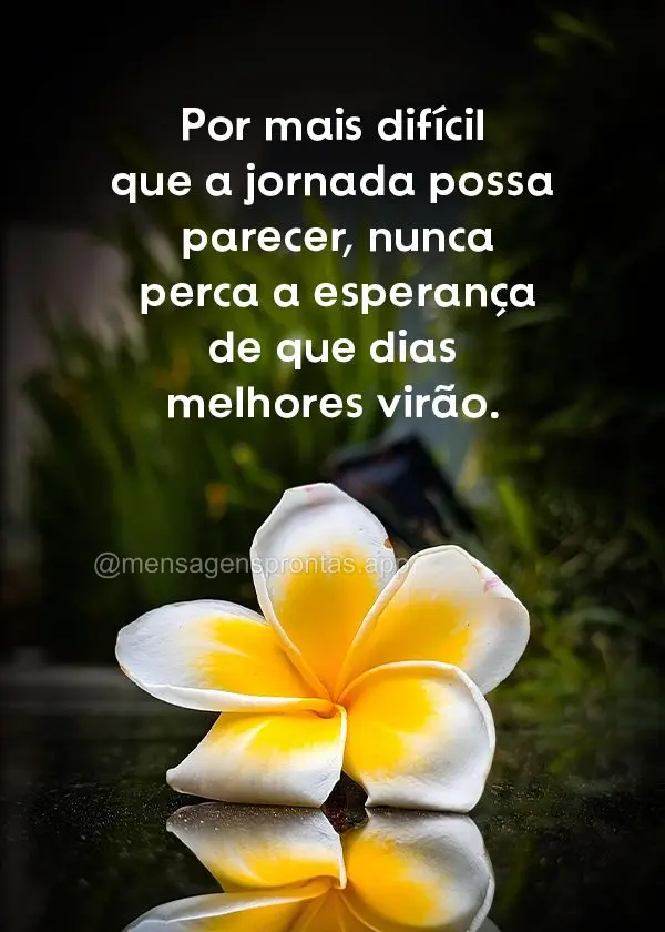 "Por mais difícil que a jornada possa parecer, nunca perca a esperança de que dias melhores virão."