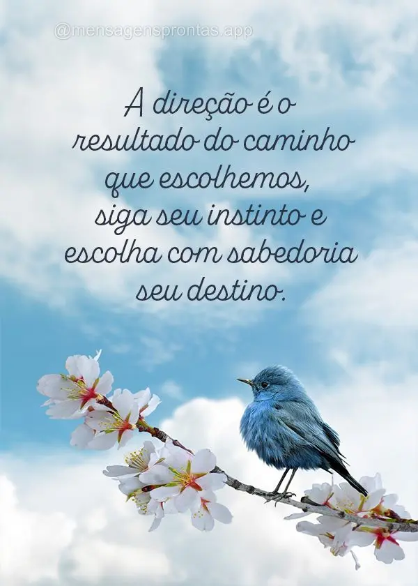 A direção é o resultado do caminho que escolhemos, siga seu instinto e escolha com sabedoria seu destino.