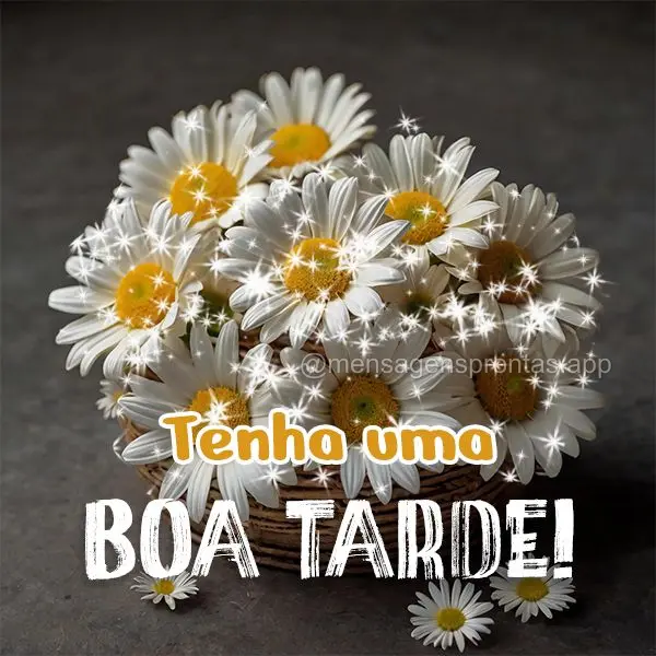 Tenha uma Boa tarde!