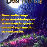 Que a noite traga paz e serenidade para o seu coração e que o amanhã seja um dia de realizações. Boa noite!