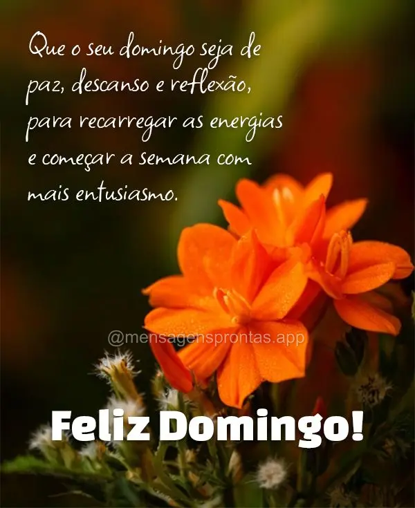 Que o seu domingo seja de paz, descanso e reflexão, para recarregar as energias e começar a semana com mais entusiasmo. Feliz Domingo!