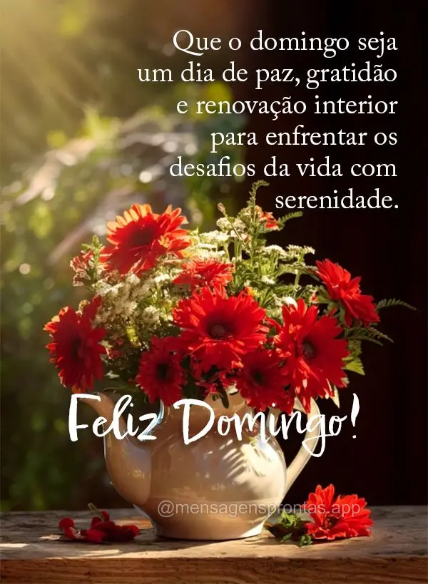 Que o domingo seja um dia de paz, gratidão e renovação interior para enfrentar os desafios da vida com serenidade. Feliz Domingo!