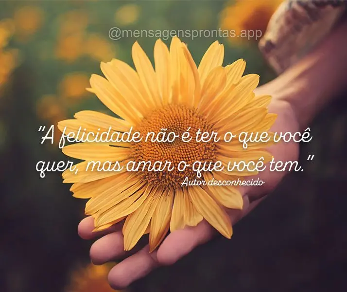 "A felicidade não é ter o que você quer, mas amar o que você tem." Autor desconhecido