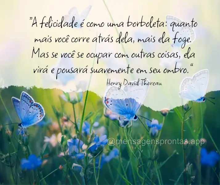  "A felicidade é como uma borboleta: quanto mais você corre atrás dela, mais ela foge. Mas se você se ocupar com outras coisas, ela virá e pousará ...