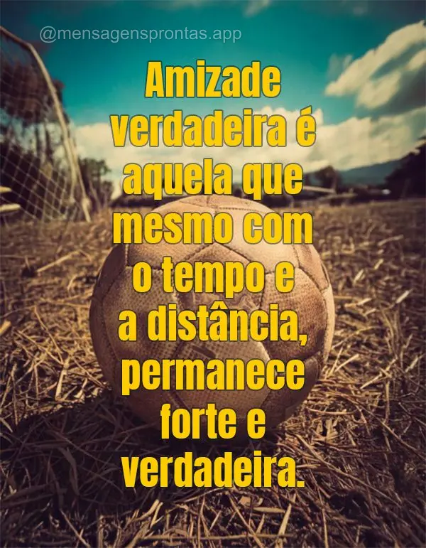 Amizade verdadeira é aquela que mesmo com o tempo e a distância, permanece forte e verdadeira.